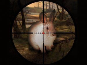 Classic Rabbit Accuracy Challenge 2019