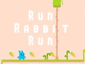 Run Rabbit Run: Bunny Adventure Puzzle
