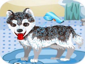 Cute Dog Bathing Pet Care