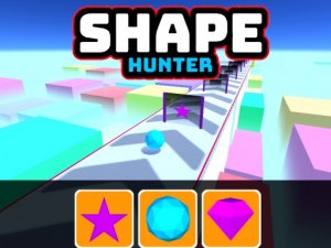 Shape Hunter Puzzle Game
