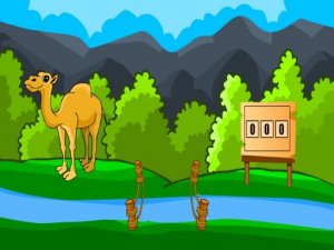 Camel Rescue Puzzle Adventure