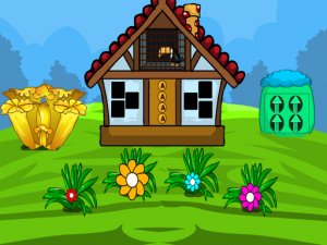 Toucan Escape Puzzle Adventure
