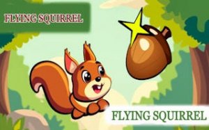 Squirrel Block Sort Puzzle