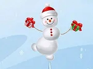 Winter Balance Challenge