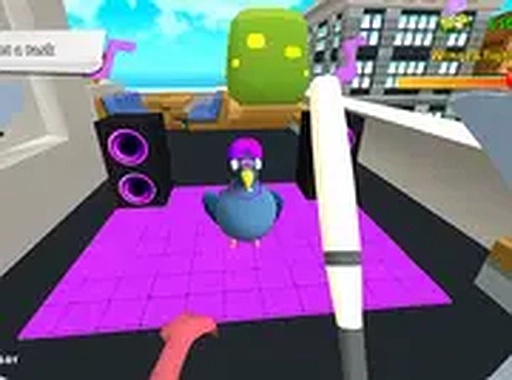City Bird Discovery Adventure